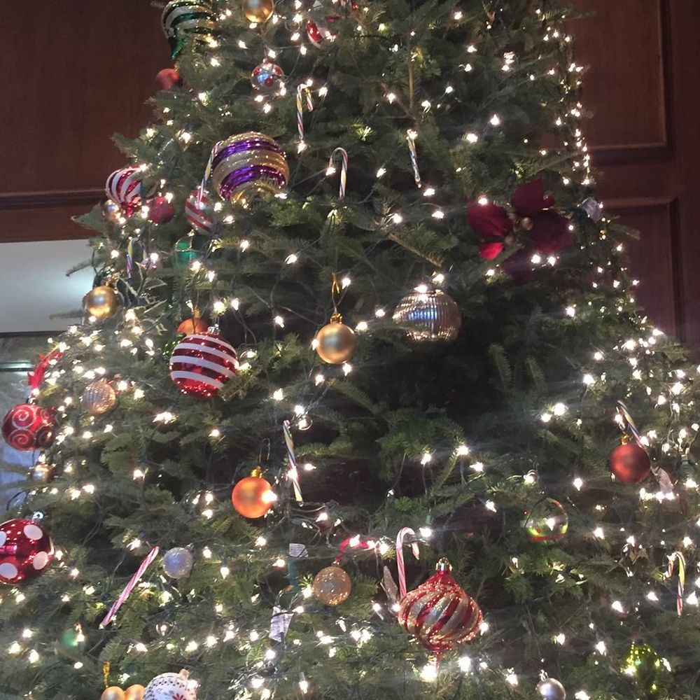 Meet your Posher, Dawa